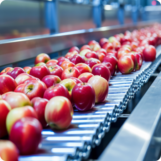 Linea procesadora de frutas (manzana) para representar La linea procesadora disponible.