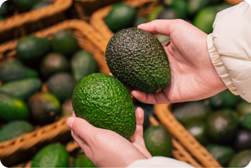 Paltas para representar a Pure Andes Produce