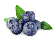 Fruta