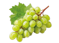 Fruta