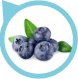 Blueberry Europe