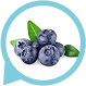 Blueberry North America