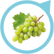 Grape North America