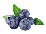 Blueberry